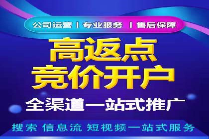 案例对比：不同竞价广告平台的优劣